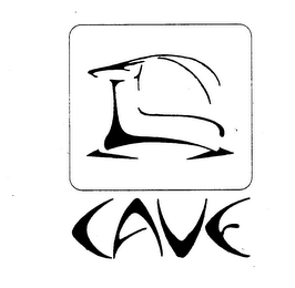 CAVE logo