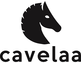 CAVELAA logo