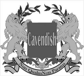 CAVENDISH NUN QUALMNON PARATUS logo