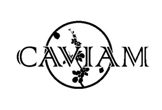 CAVIAM logo