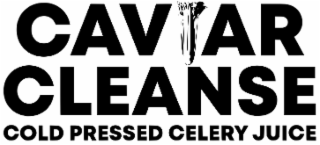 CAVIAR CLEANSE COLD PRESSED CELERY JUICE logo