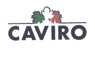 CAVIRO logo
