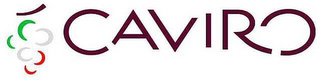 CAVIRO logo