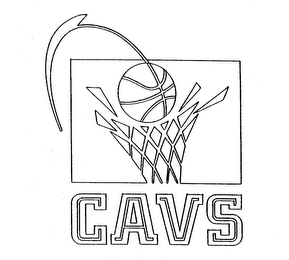 CAVS logo