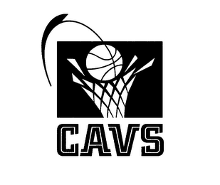 CAVS logo
