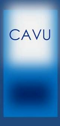 CAVU logo
