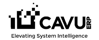 CAVU ERP ELEVATING SYSTEM INTELLIGENCE logo