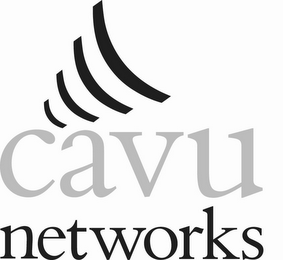 CAVU NETWORKS logo