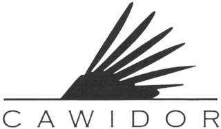 CAWIDOR logo