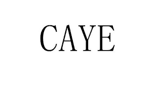 CAYE logo