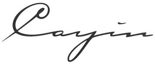 CAYIN logo