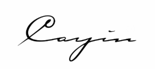 CAYIN logo