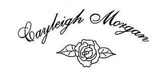 CAYLEIGH MORGAN logo