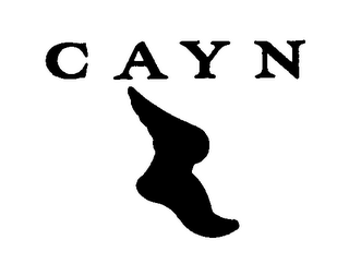 CAYN logo