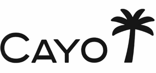 CAYO logo