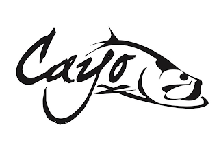 CAYO logo