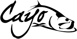 CAYO logo