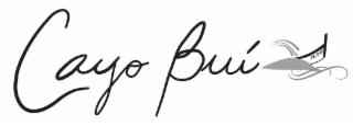 CAYO BUÍ PR-2013 logo