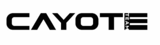 CAYOTE TEAM logo