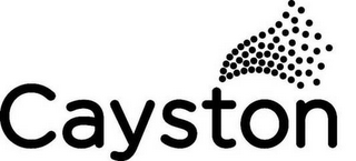 CAYSTON logo