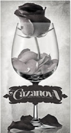 CAZANOVA logo