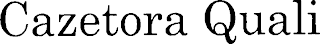 CAZETORA QUALI logo