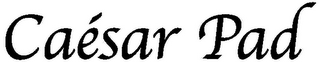 CAÉSAR PAD logo