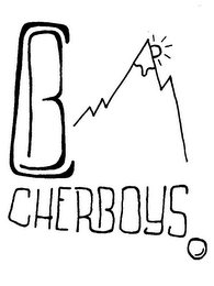 CB CHERBOYS. logo