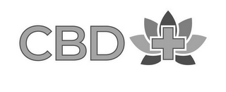 CBD + logo