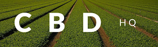 CBD HQ logo