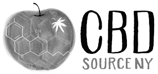 CBD SOURCE NY O OH logo