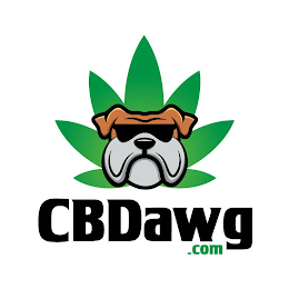 CBDAWG .COM logo