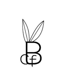 CBF logo