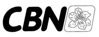 CBN logo