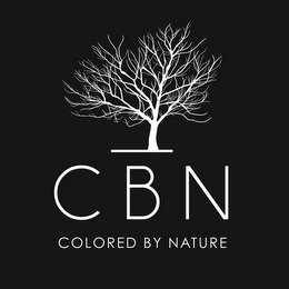 CBN COLORED BY NATURE logo