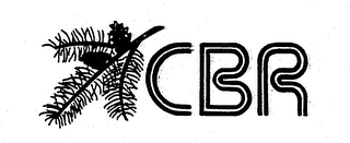 CBR logo