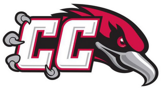 CC logo
