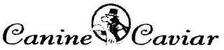 CC CANINE CAVIAR logo