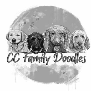 CC FAMILY DOODLES logo