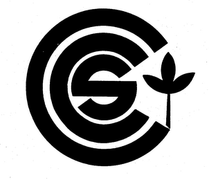 CCS logo