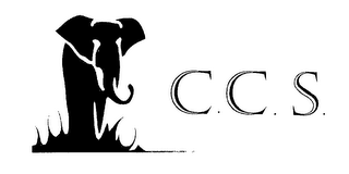 C.C.S. logo