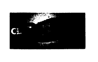 CD SKINZ logo