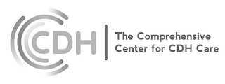 CDH THE COMPREHENSIVE CENTER FOR CDH CARE logo