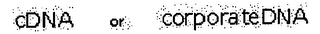 CDNA OR CORPORATEDNA logo