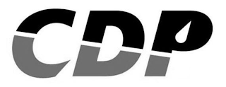 CDP logo
