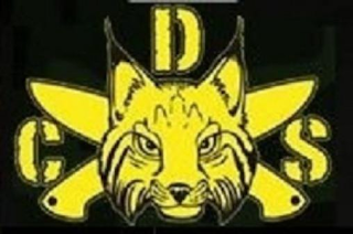 CDS logo