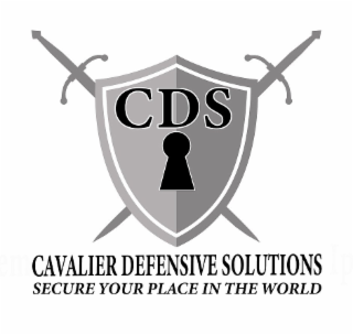 CDS CAVALIER DEFENSIVE SOLUTIONS SECURE YOUR PLACE IN THE WORLD