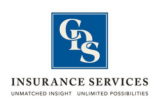 CDS INSURANCE SERVICES UNMATCHED INSIGHT UNLIMITED POSSIBILITIES logo
