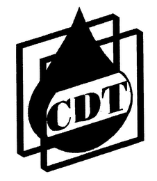 CDT logo