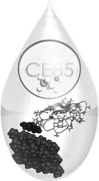 CE85 logo